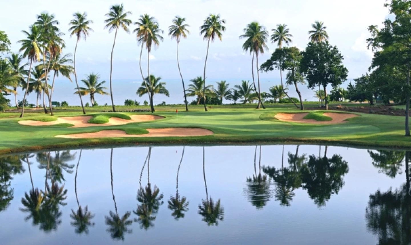 Dorado Beach golf fairway with palms and ocean light